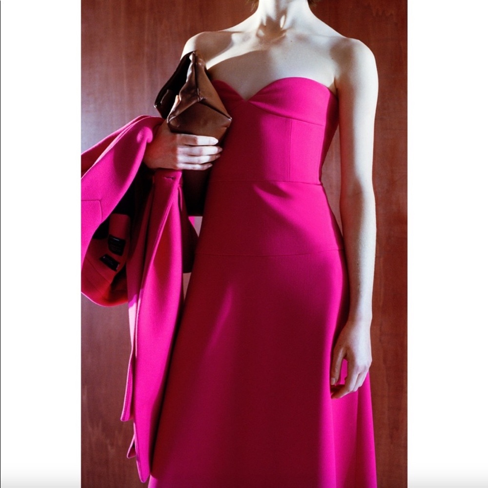 Zara hot pink Bustier corset midi dress